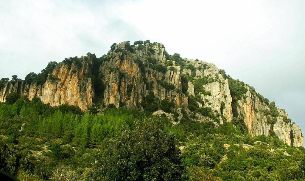 New! La Ginestra,Casa Vacanze Bifamiliare In Montagna-Seulo Sardegna Extérieur photo