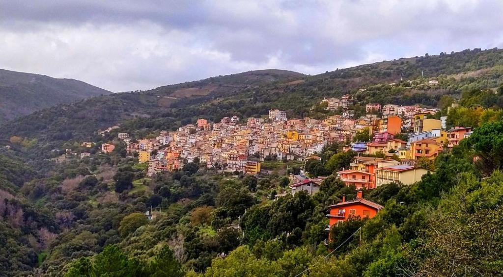 New! La Ginestra,Casa Vacanze Bifamiliare In Montagna-Seulo Sardegna Extérieur photo