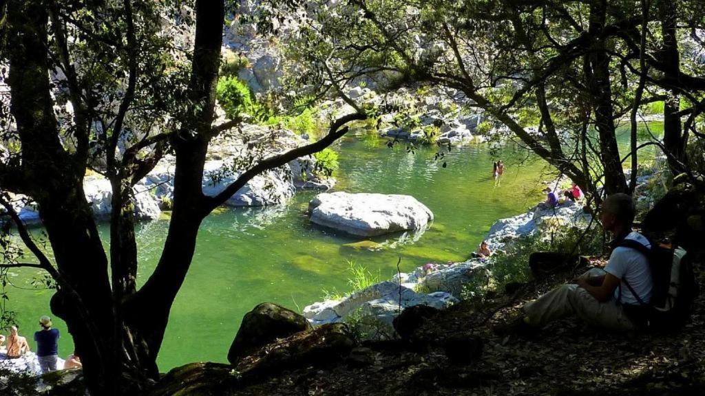 New! La Ginestra,Casa Vacanze Bifamiliare In Montagna-Seulo Sardegna Extérieur photo