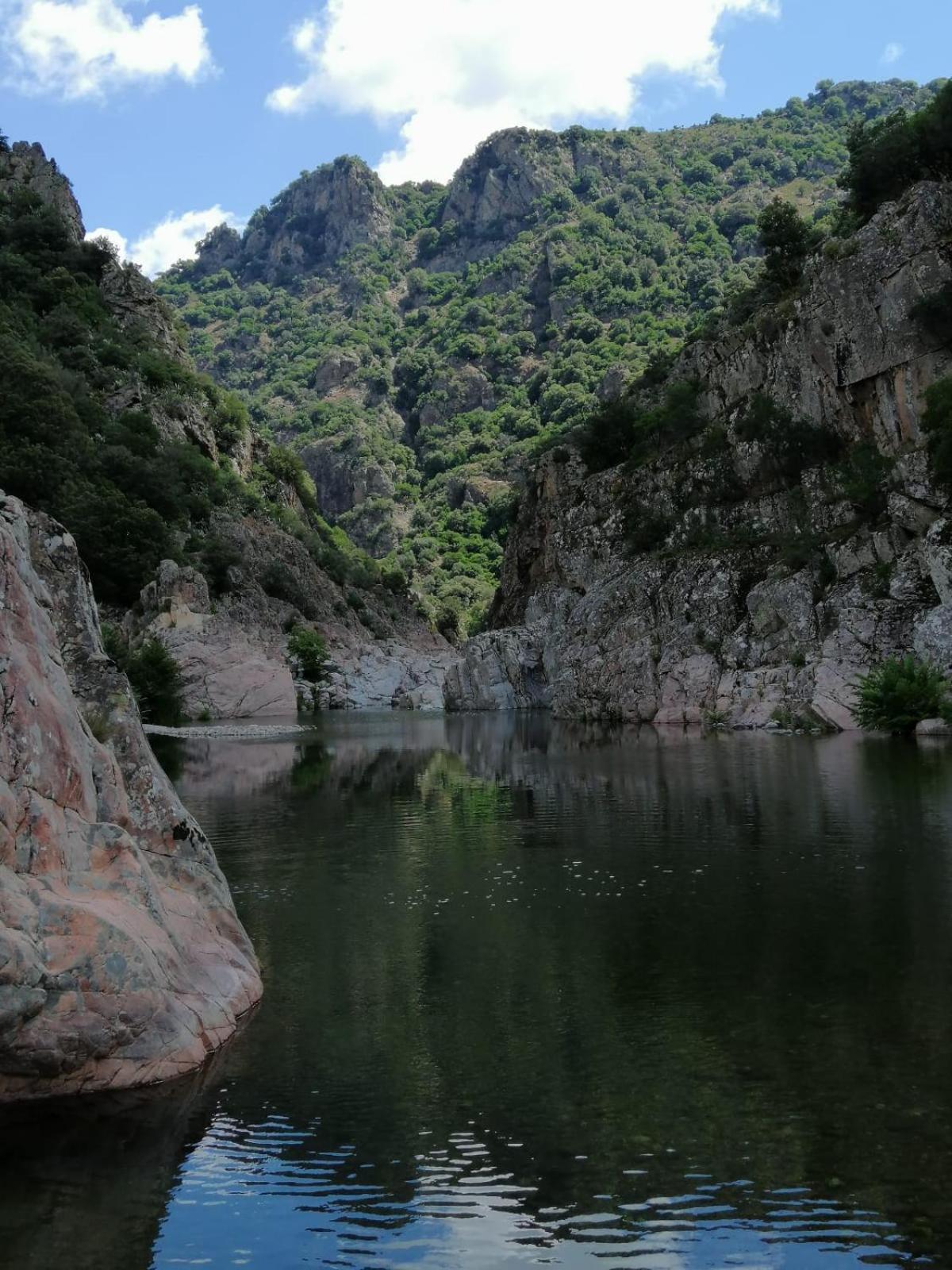 New! La Ginestra,Casa Vacanze Bifamiliare In Montagna-Seulo Sardegna Extérieur photo